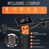 HONEY WHALE ELECTRIC SCOOTER T8 OFF ROAD ALL TERRAIN TIRE CLIMBING ABILITY