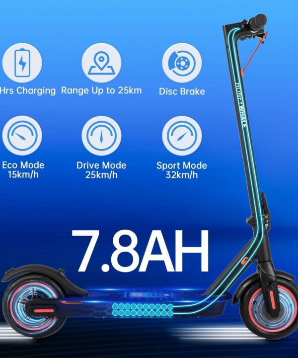 HONEY WHALE electric scooter E9 pro 38v 7.8a