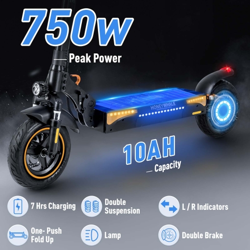 Honey Whale electric scooter T4-a 750W powerful motor