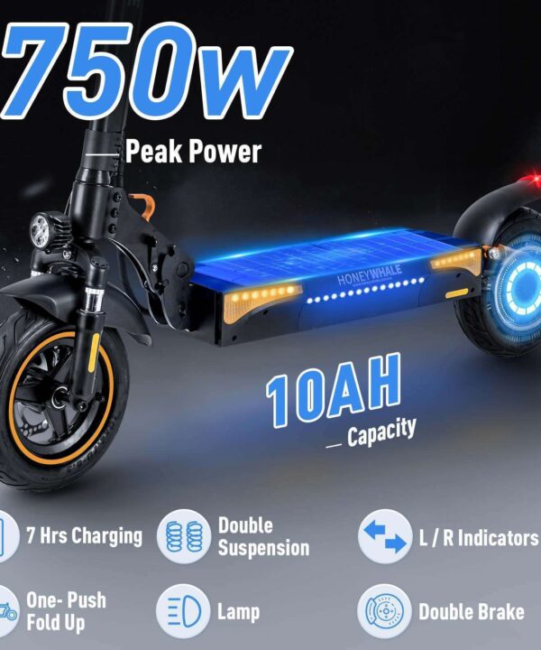 750W 45KM/H 10inch Tubeless Tire -Seated -Turning Indicator Folding Electric Scooter T4-A