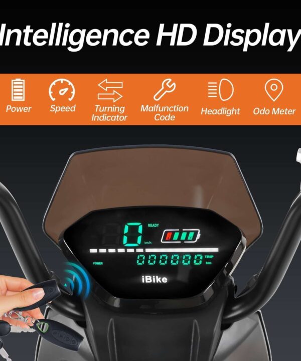HONEY WHALE ELECTIRC MOPED ZL display power light speed
