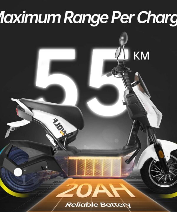 HONEY WHALE ELECTIRC MOPED ZL 20ah battery long range
