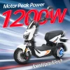 HONEY WHALE ELECTIRC MOPED ZL powerful motor 1200w