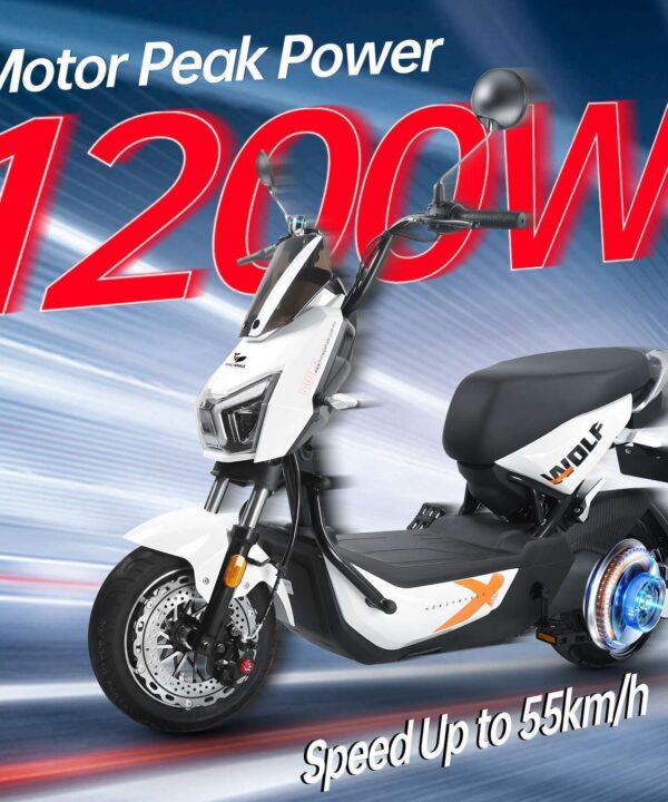 HONEY WHALE ELECTIRC MOPED ZL powerful motor 1200w