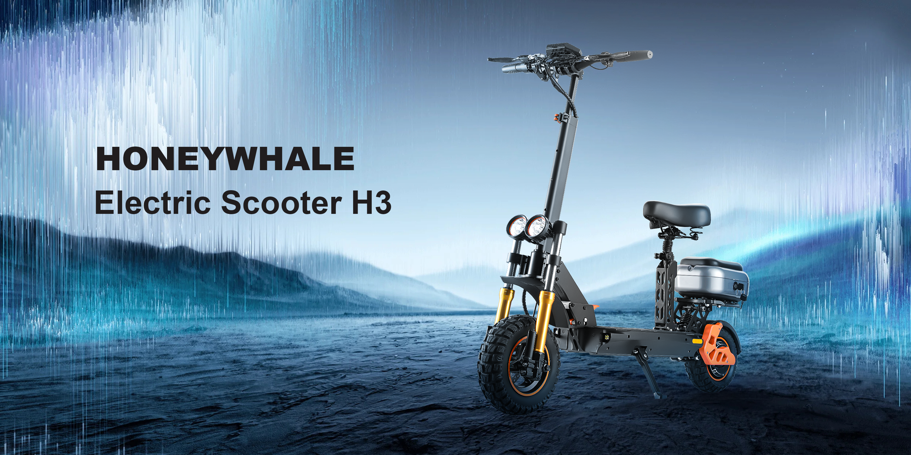 H3 Scooter honey whale