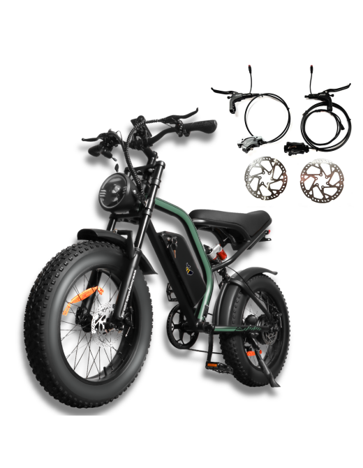 48km/h 20“ Off-Road Tire Removal Battery Electric Bike Dirt Bike K6