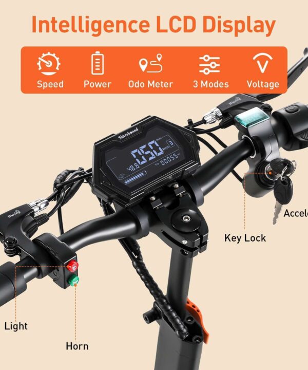 HONEY WHALE ELECTRIC SCOOTER H3 display battery power light odometer