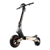 HONEY WHALE OFF-ROAD ELECTRIC SCOOTER H4