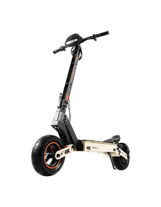 HONEY WHALE OFF-ROAD ELECTRIC SCOOTER H4