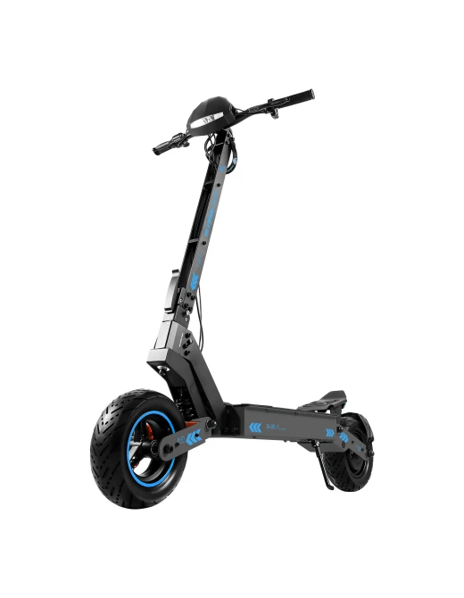 HONEY WHALE OFF-ROAD ELECTRIC SCOOTER H4