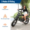 HONEY WHALE OFF ROAD FAR TIRE ELECTRIC BIKE K7