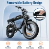 HONEY WHALE OFF ROAD FAR TIRE ELECTRIC BIKE K7