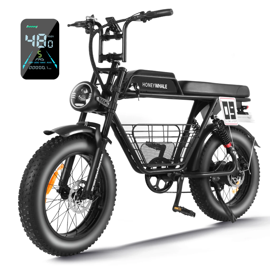 HONEY WHALE OFF ROAD FAR TIRE ELECTRIC BIKE K7