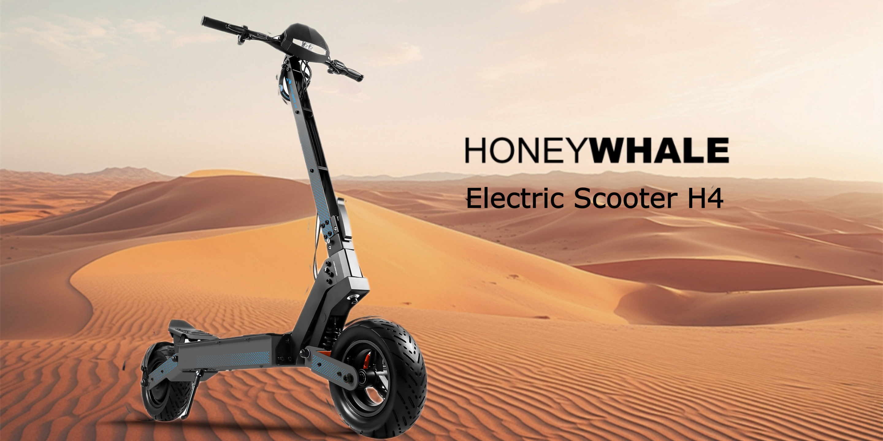 HONEYWHALE Electric Scooter H4