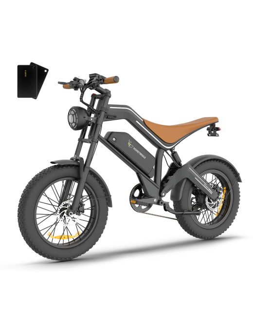 Hydraulic Brake 55km/h-62KM-20” Off-Road Tire-Removal Battery Electric Bike Dirt Bike K6 PRO