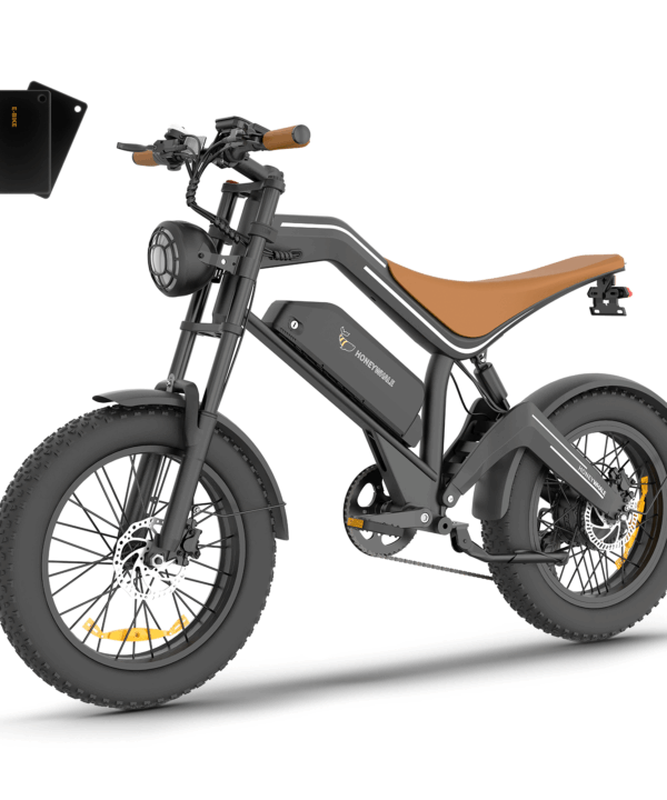 Hydraulic Brake 55km/h-62KM-20” Off-Road Tire-Removal Battery Electric Bike Dirt Bike K6 PRO
