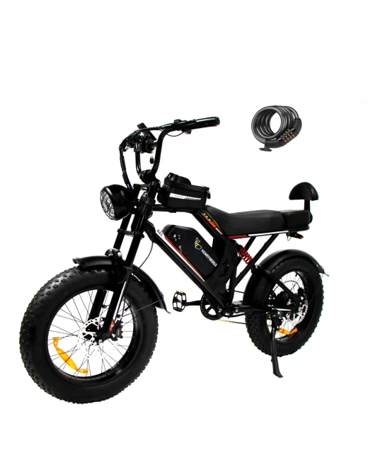 K6S ELECTRIC BIKE