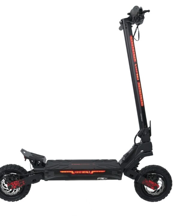 F100 Honey Whale Electric Scooter F100