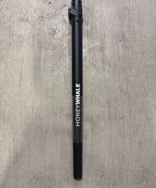 T8 stem
