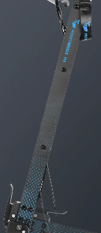H4 stem