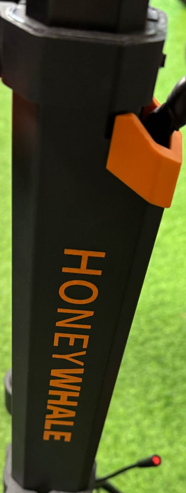H3 stem